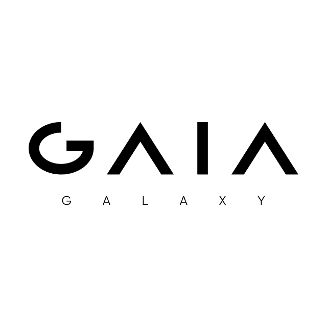 GAIA Galaxy